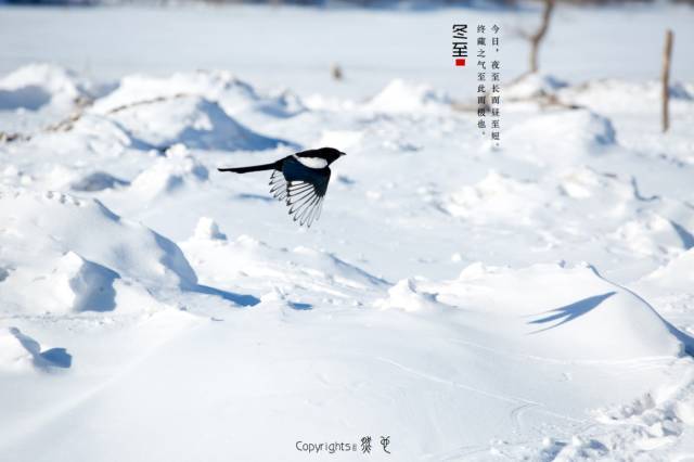 寒江孤影简谱_寒江孤影图片(2)