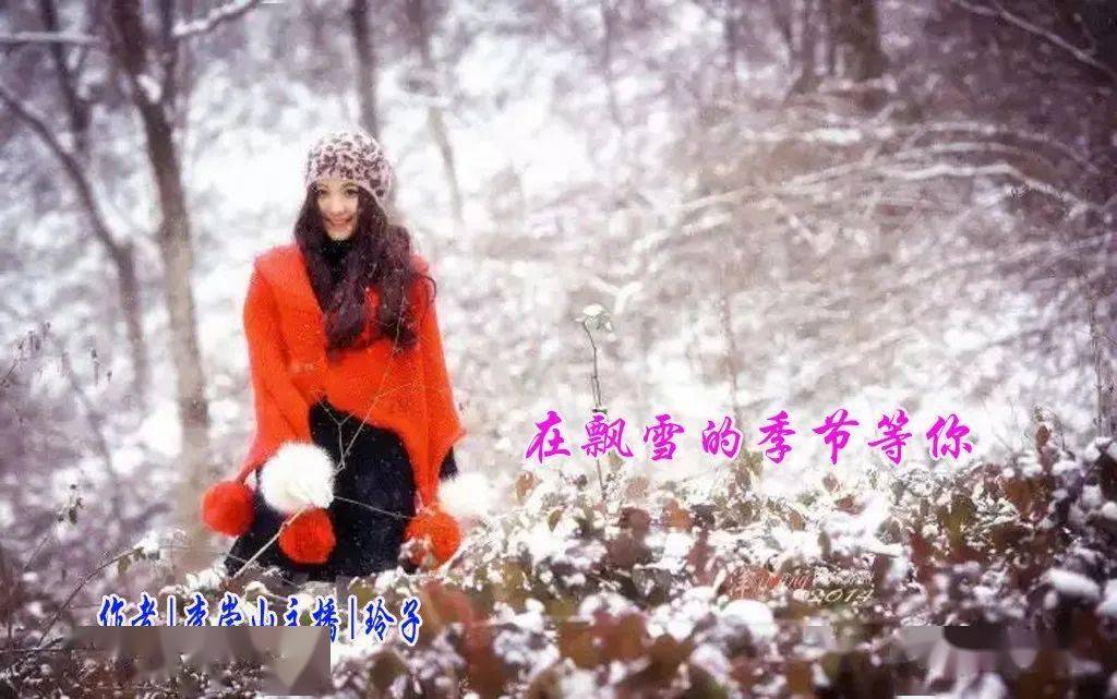 飘雪的季节更想你简谱_飘雪的季节更想你图片(2)