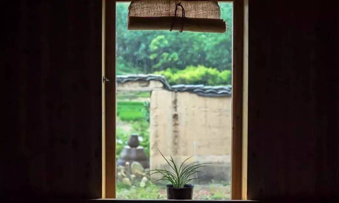 半生已过,学会沉默(好文)