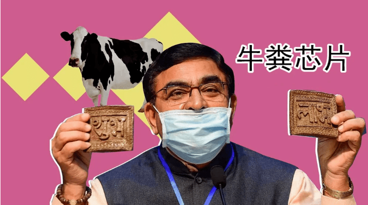 印度发明牛粪芯片,能防辐射强体魄,网友:无所不能的牛