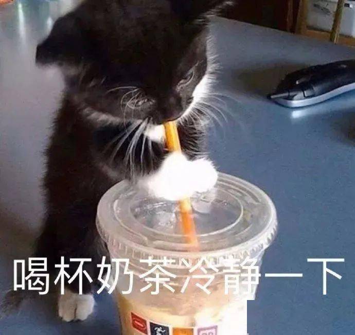 快来干了这杯"反诈奶茶"!