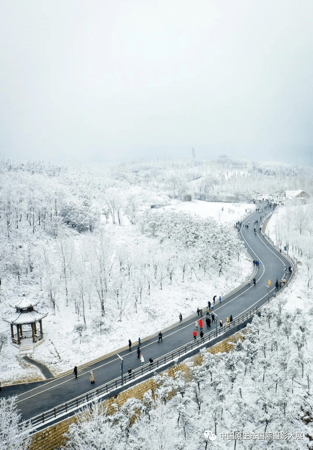 冬游贵州邀请您来草海北坡赏威宁最美的雪
