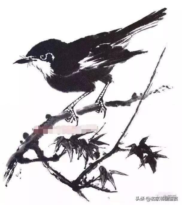 水墨写意花鸟画基本画法图文教程,写意鸟类的画法和步骤详解