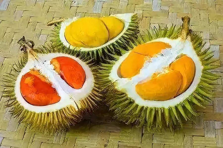 为什么要吃菠萝啊 dfccc4b0db1141a9b07d93e6b9c3e4e0.jpeg