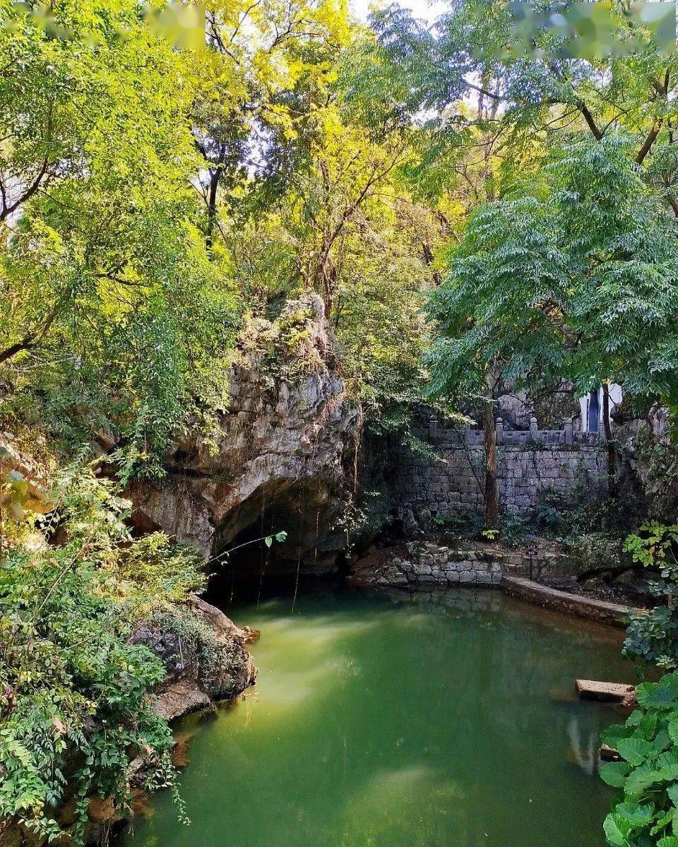 冬季的雁山园 风景似春华