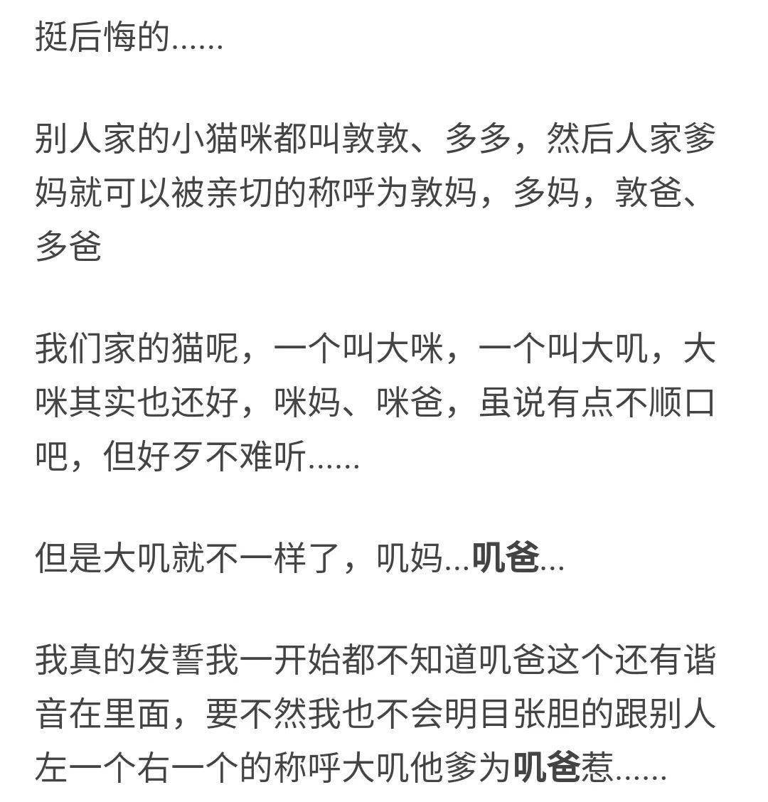 你有没有后悔过给猫咪取的名字?