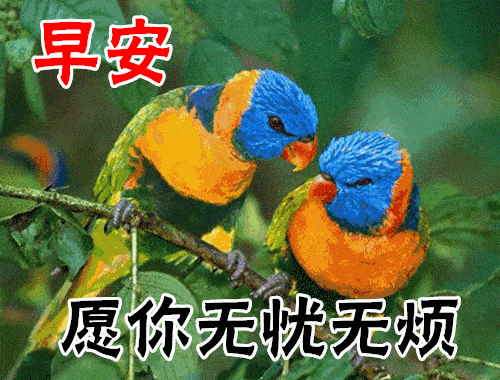 12月23日最漂亮早上好动态表情图片大全,早晨好动大全
