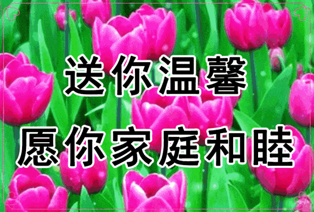 早上好!亲爱的朋友,一声祝福,愿你一生喜乐平安!