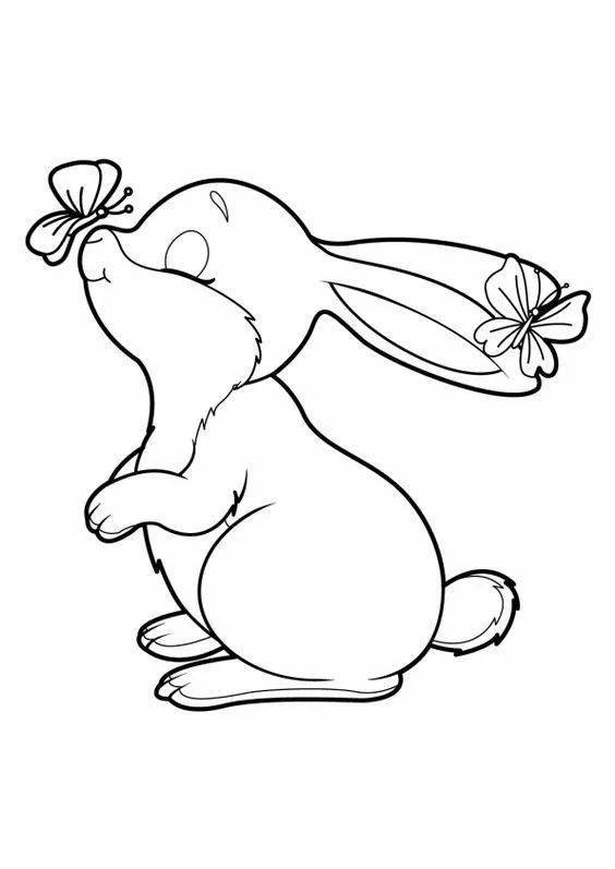 【简笔画】兔子的线稿简笔画