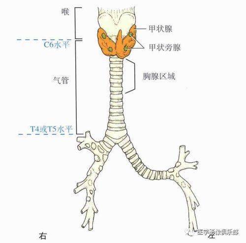 体表定位标志小结