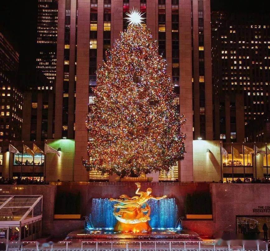 纽约2020最美的12棵圣诞树！好看又好拍！
