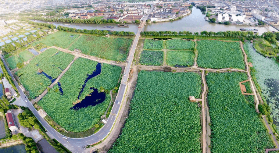 运河街道新宇村