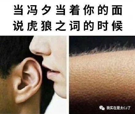 什么虎冯什么成语_成语故事图片(2)