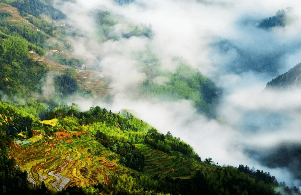 泰顺GDP_泰顺廊桥(3)