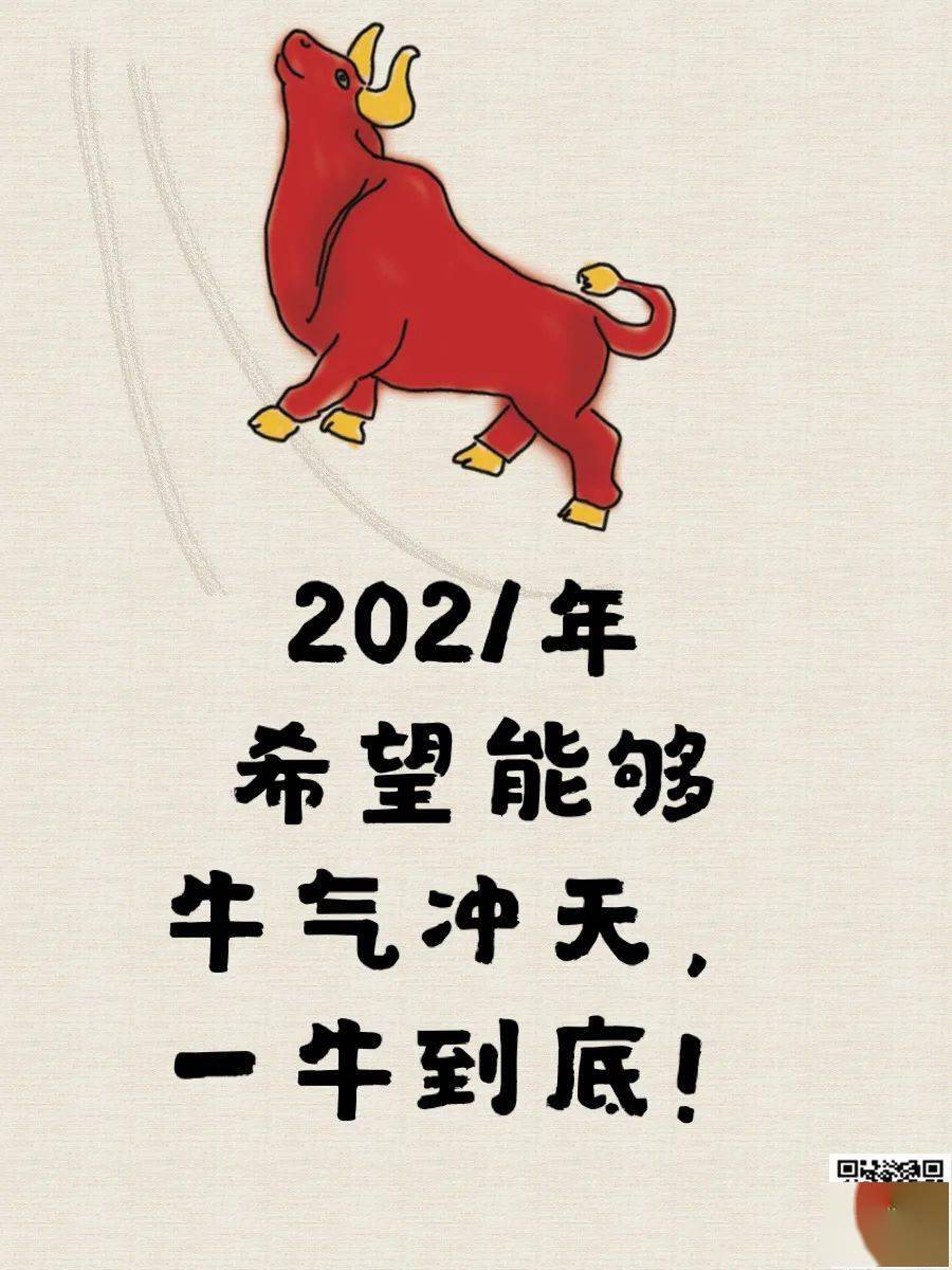 2021年希望你能够牛气冲天,一牛到底