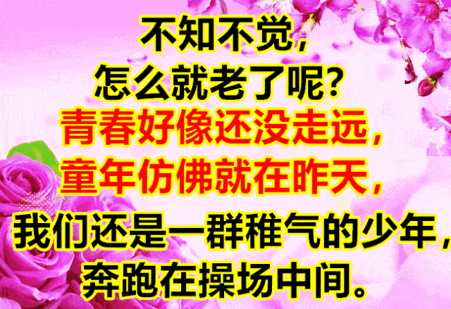 想你了,我的朋友 网络中有你,我很快乐 亲爱的朋友 愿我的祝福陪伴你