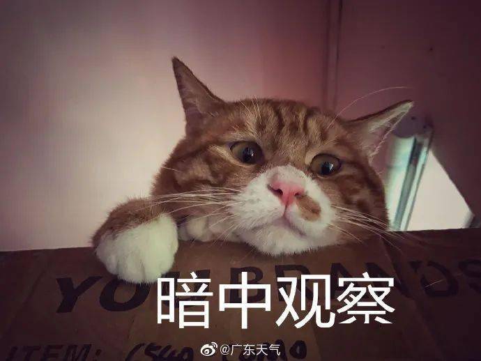 7f1d3b02f5734b3ab500d44897c09af2.jpeg
