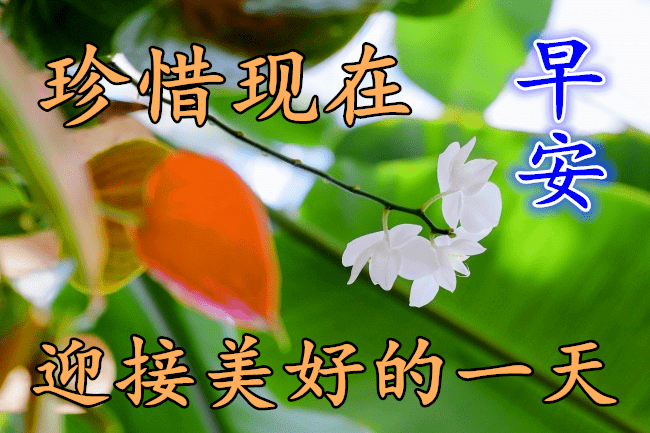 12月26日最漂亮早上好动态表情图片大全早晨好动图美图大全