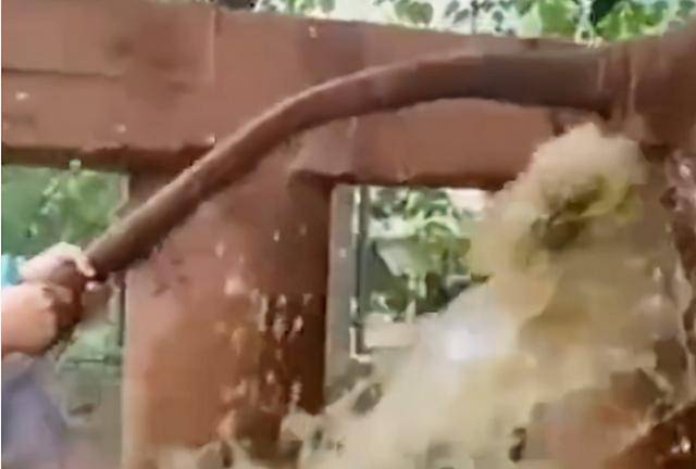 泰国一大象便秘,兽医穿雨衣为其灌肠,却被大象的粪水喷满全身