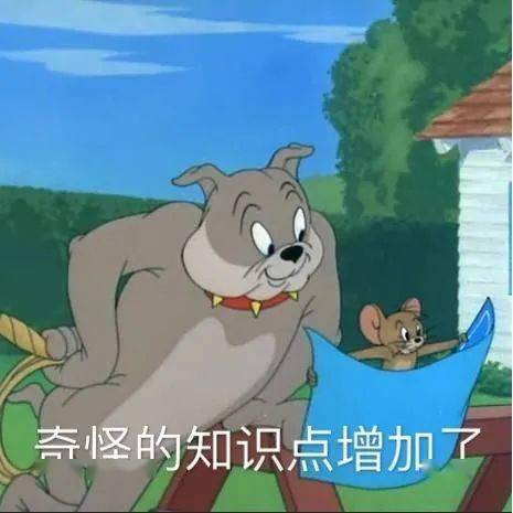 猫和老鼠表情包:奇怪的知识点增加了