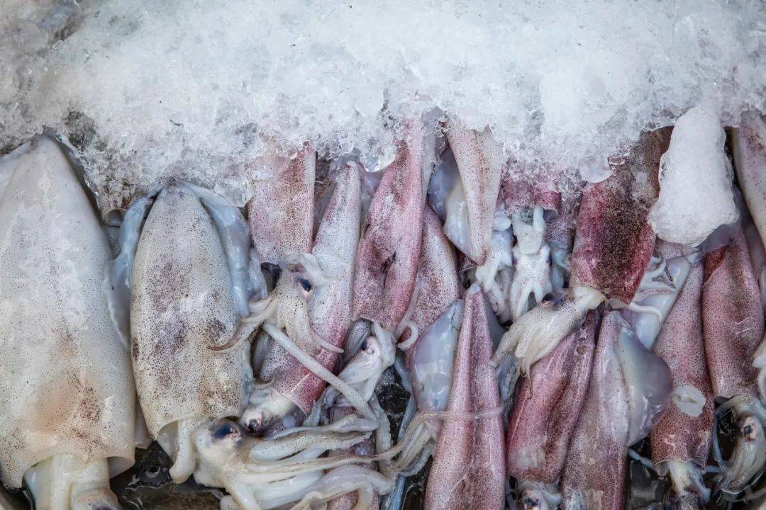 鱼多久可以解冻 ef062aaa6771479e88ba2375beb83dc8.jpeg