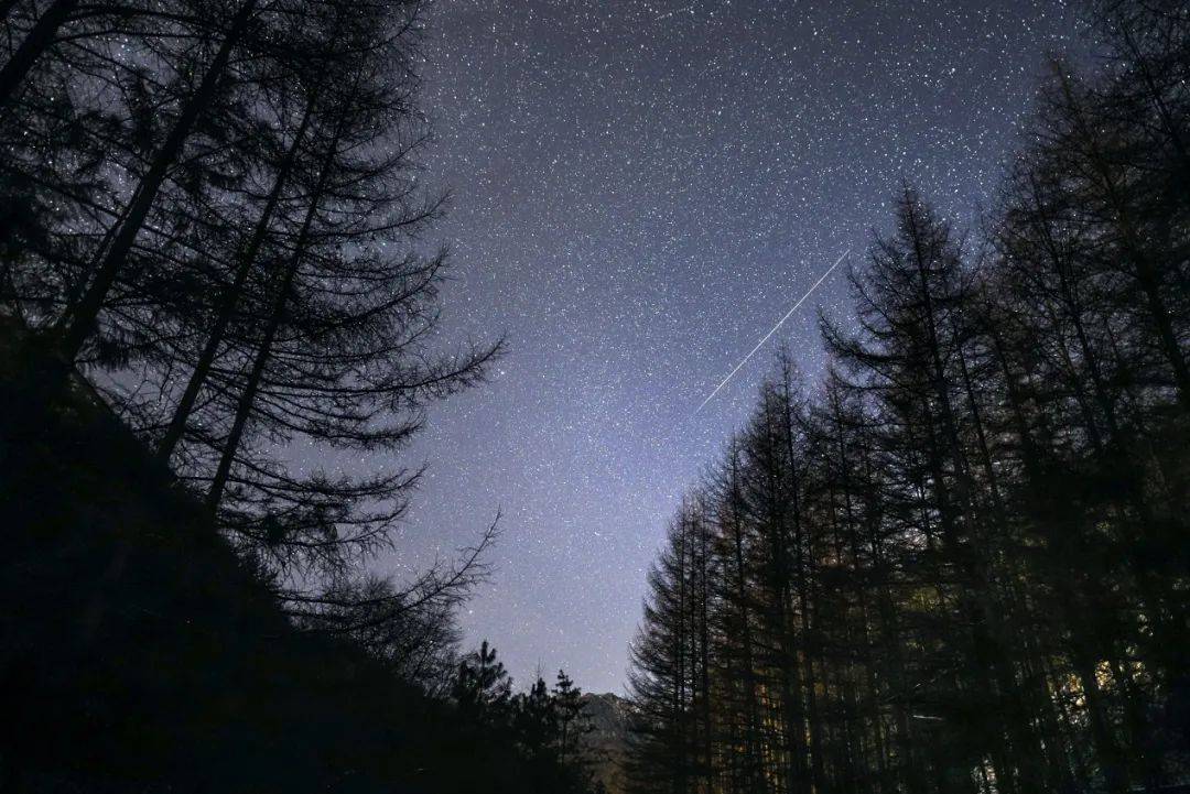 秦岭雪乡追星记这才是冬天最美的夜空