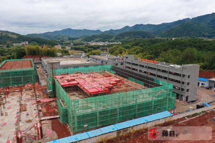 藤县有多少人口_广西梧州藤县照片(2)