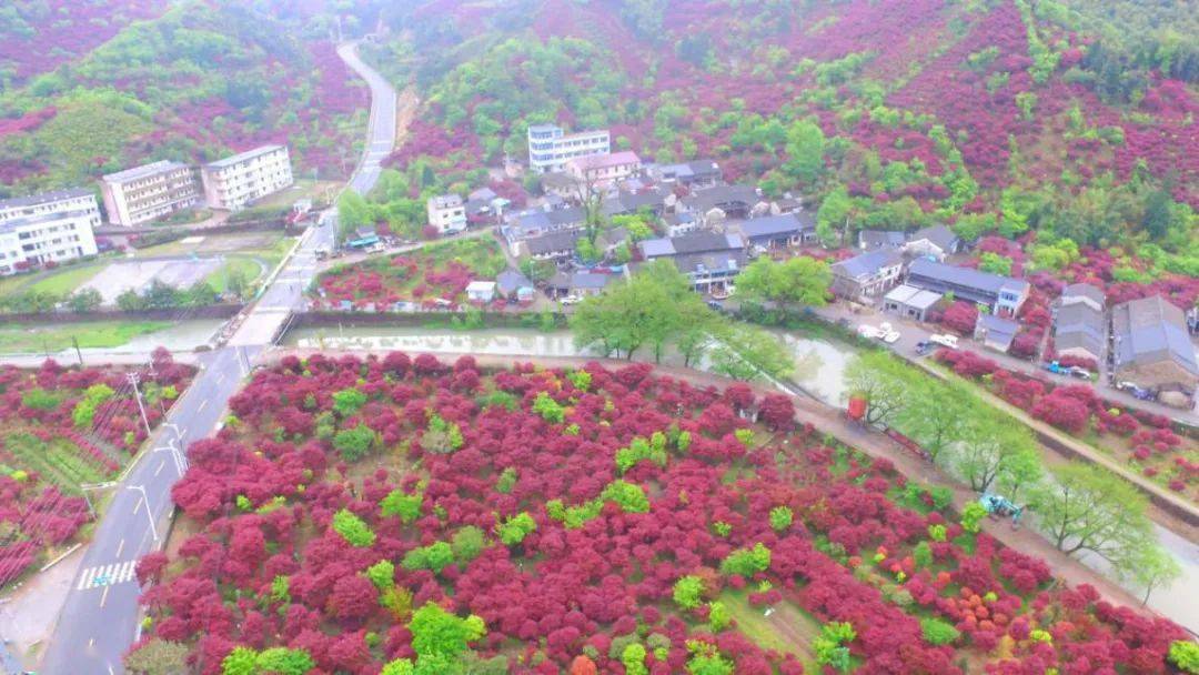 余姚各乡镇gdp_余姚北站图片