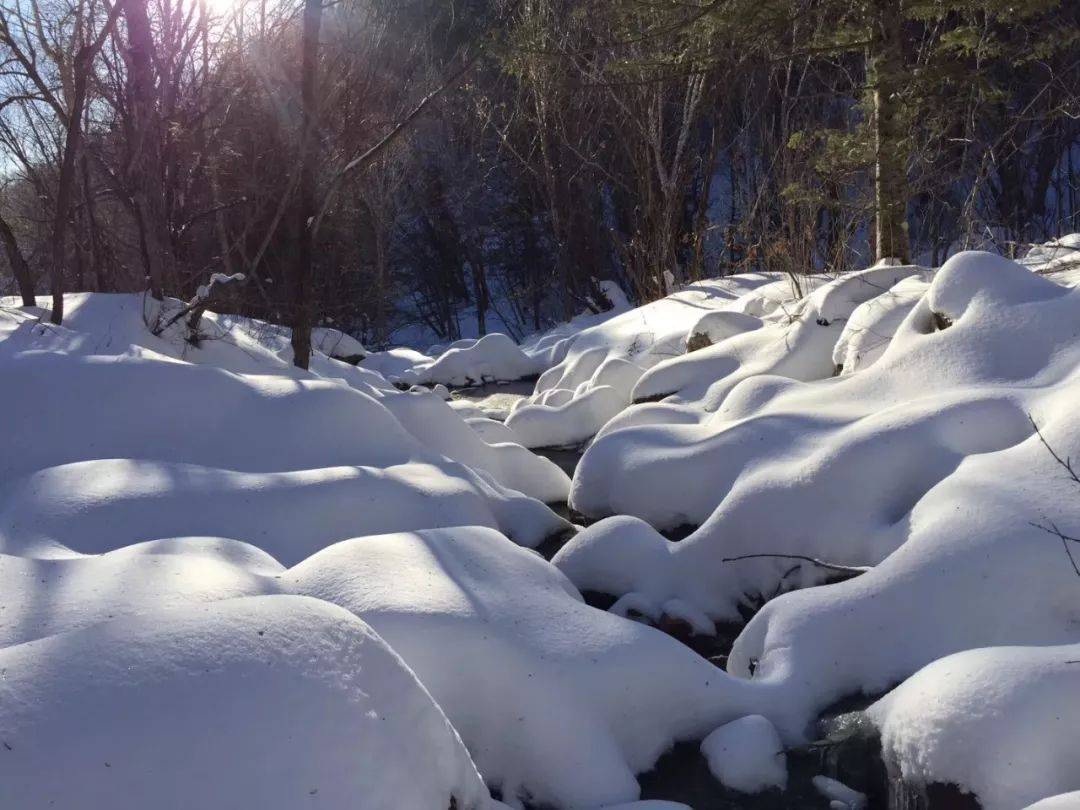 寒冷冬天有啥好拍的?超实用手机雪景摄影攻略!_画面