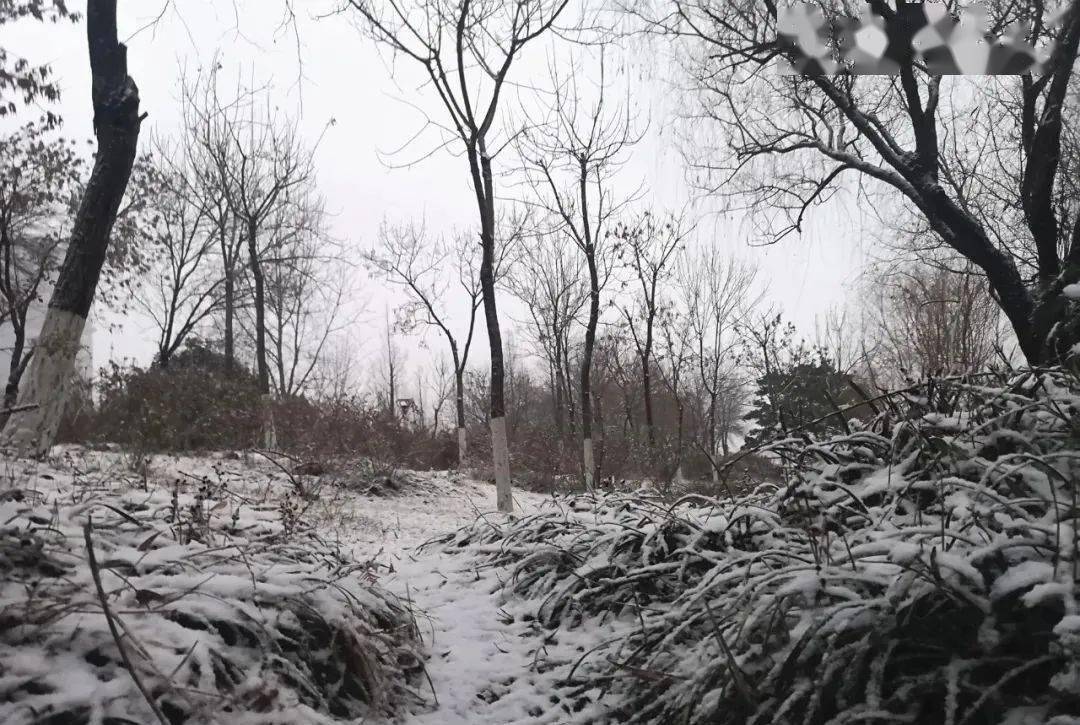 雪雪雪,下大雪!明后天,还得冷!