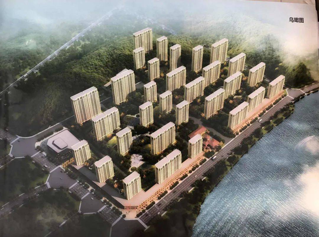 舟山高亭镇GDp_舟山gdp树状图