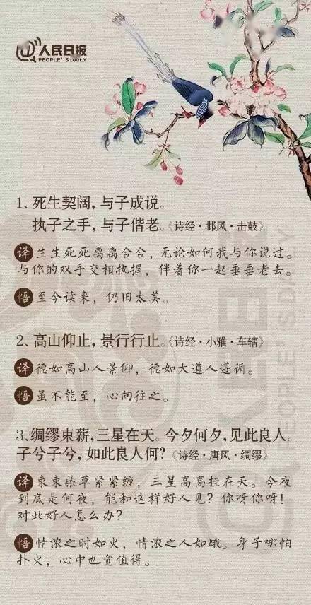 成说简谱_与子成说盲盒图片(2)