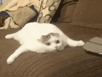 每日一笑,实力演绎什么叫富贵险中求