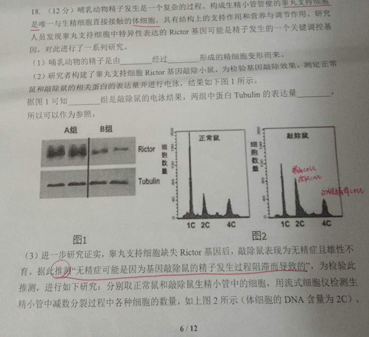 45509db286eb46e2bc231105813ca34d.png