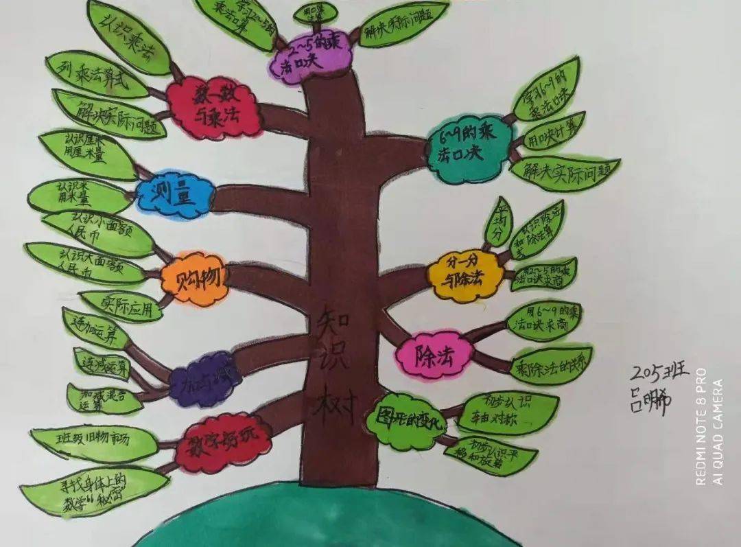 【畲韵后江】数学思维导图,彰显数学魅力