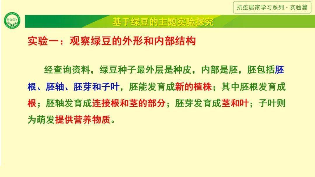 具有清热解毒,消暑利尿的功效,老少皆宜……那么,绿豆的结构是怎么样