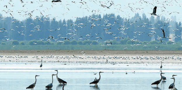 六师gdp_六师新湖监狱照片