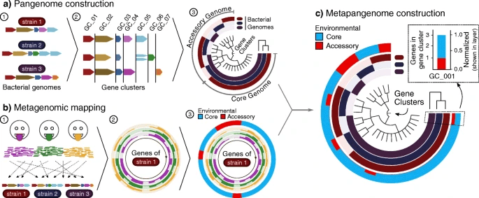 Genome Biology 口腔中令人难以置信的细菌研究人员仔细研究了人类口腔中微生物群落的基因组_栖息地