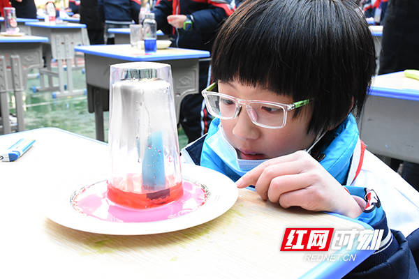 发电|蜡烛吸水、水果发电……衡阳这所小学学生“玩转”科技节