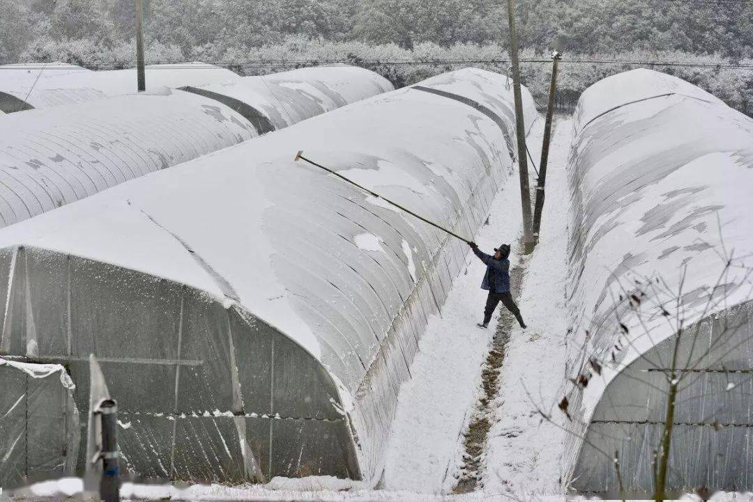 这几款大棚除雪"神器",刷爆了朋友圈!