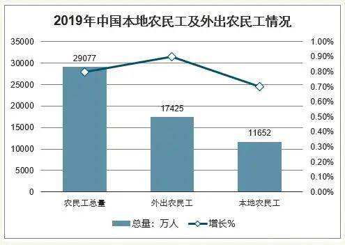 打工人口_人口普查