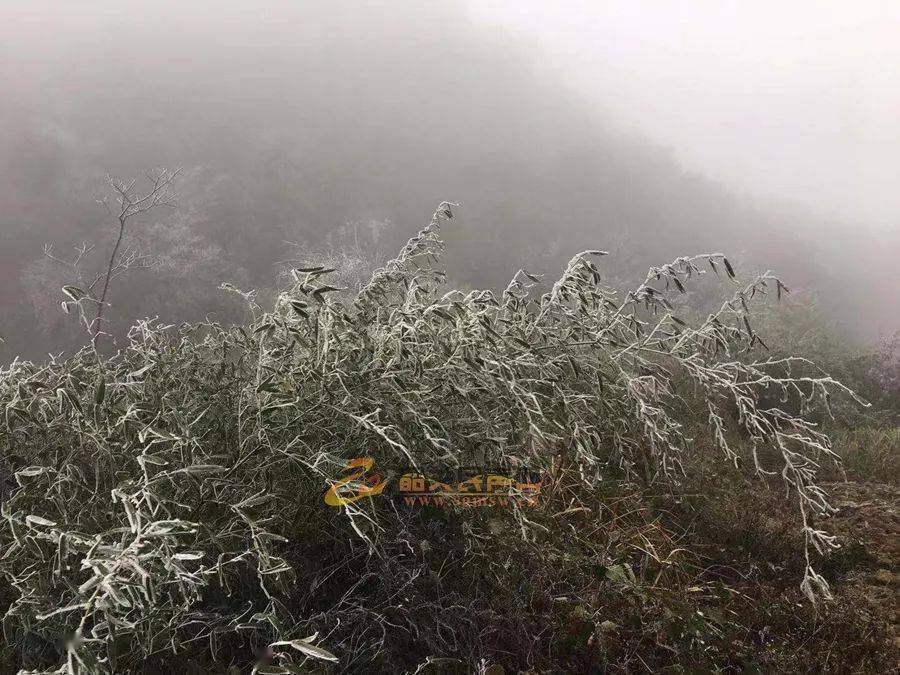 下雪了!韶关这里下!雪!了!已有学校停课