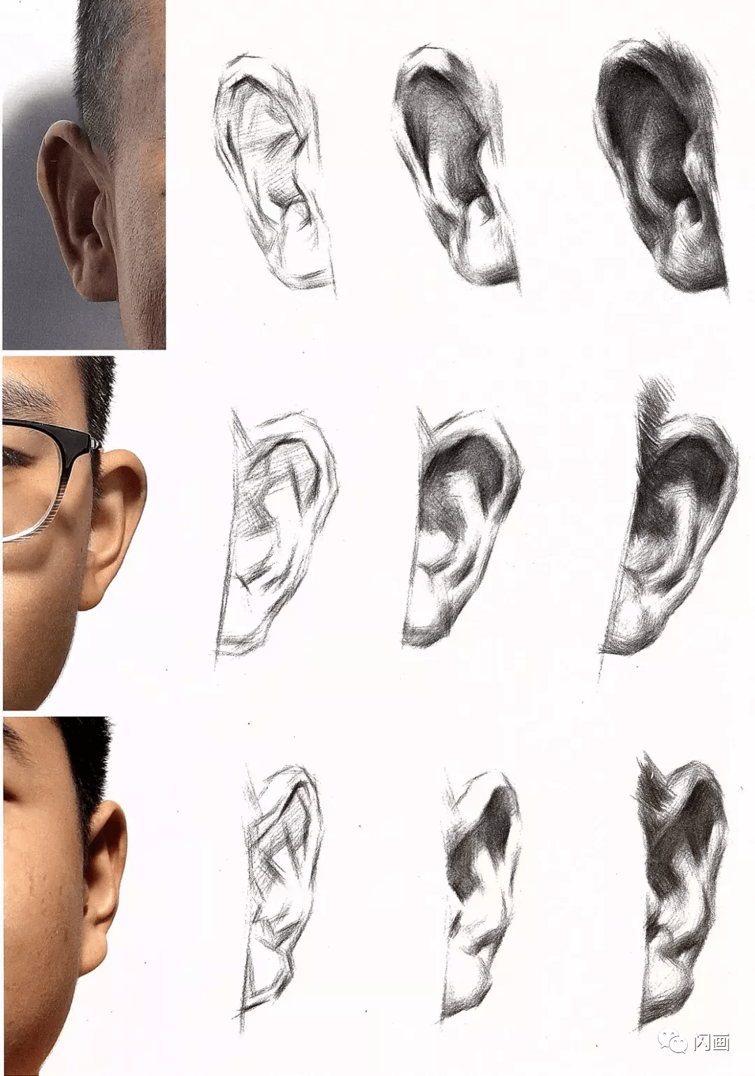 素描头像中画耳朵的画法与技巧