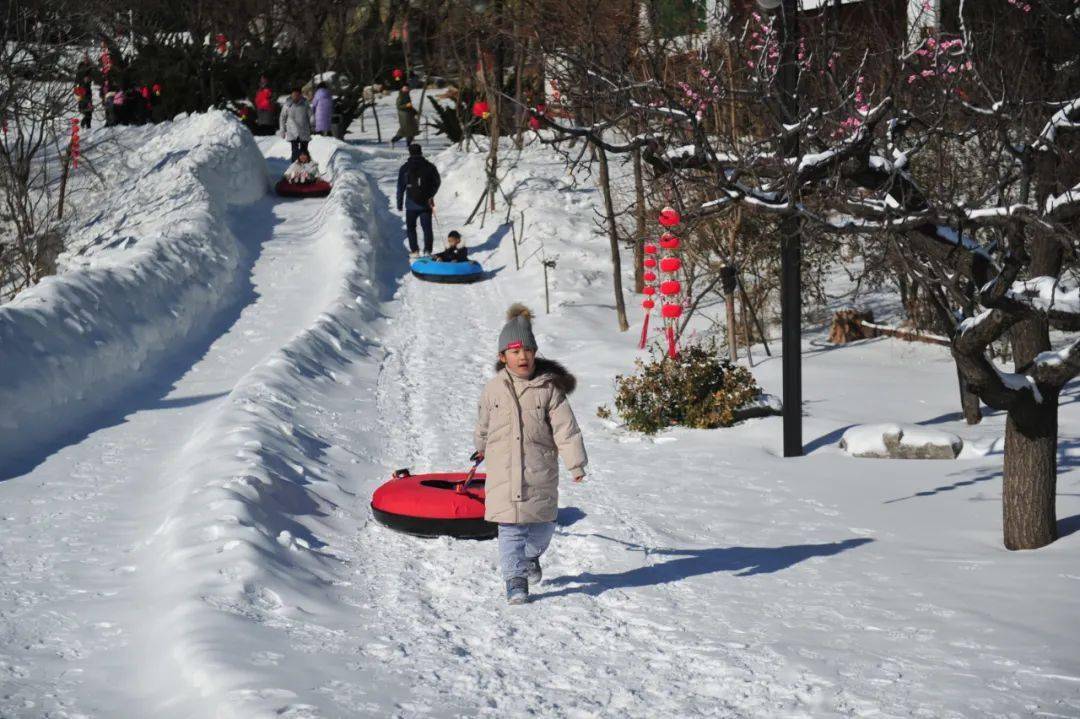 在济南跑马岭我把孩子摔下了滑雪车