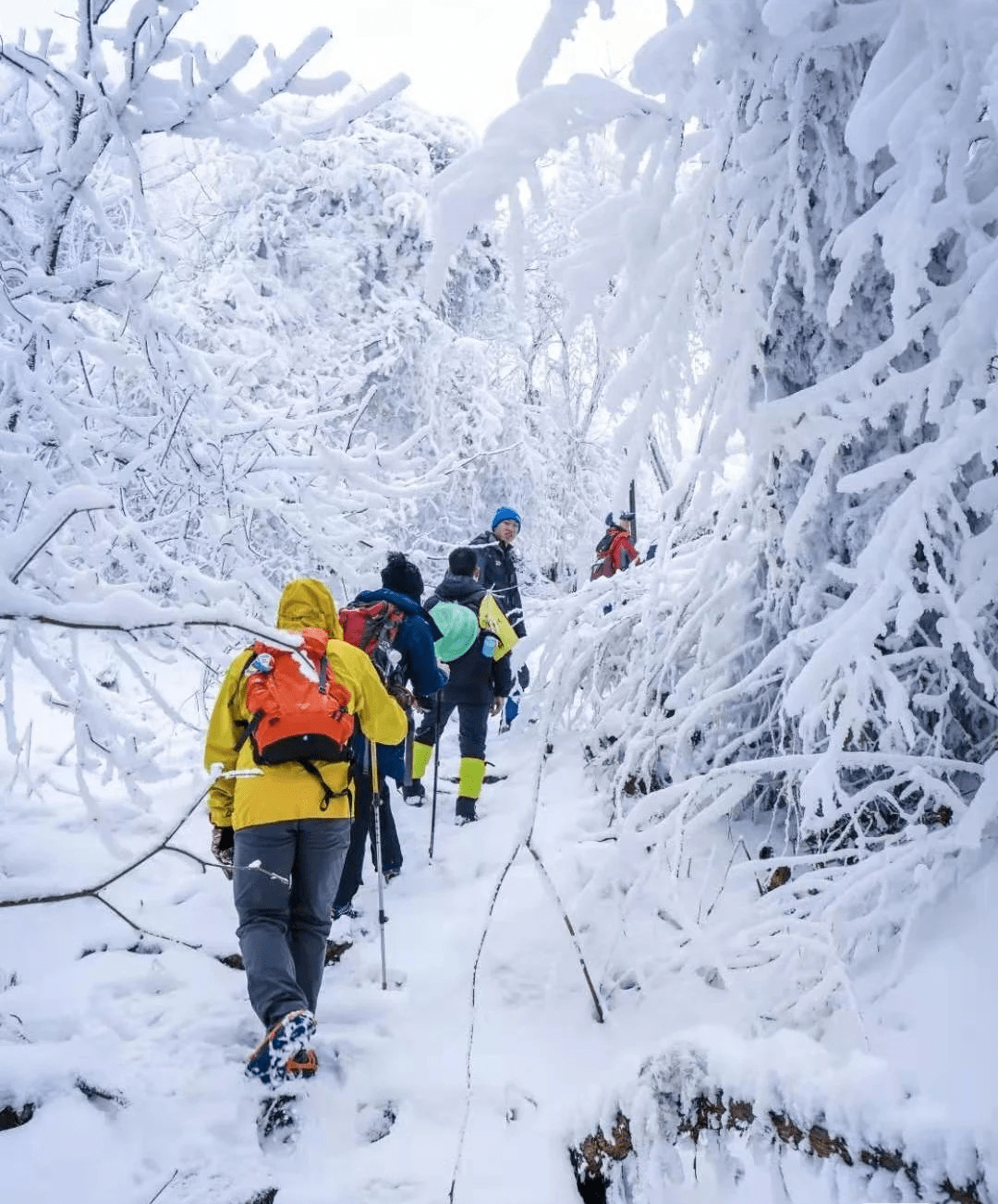 9元抢购神瀑沟冬季门票 冰雪节/玻璃桥套票~冬天就是要玩雪!