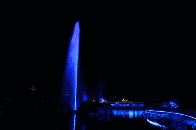 羊驼,矮马,香猪,龙猫 四猪羊,松鼠,孔雀,火狐 黑天鹅,海狸鼠,紫罗兰