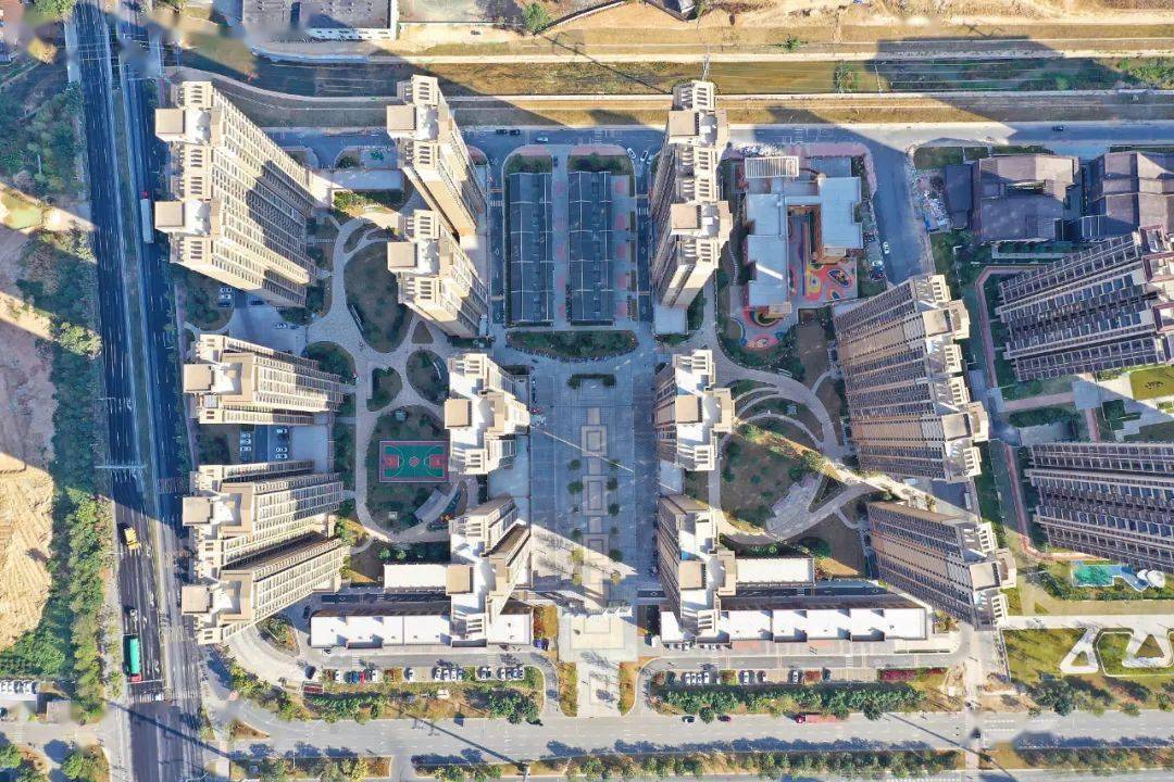 南山区人口 2021_南山区书记2021(3)