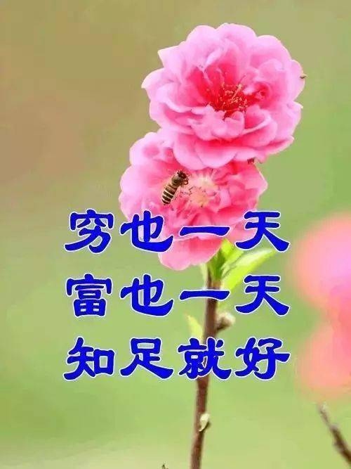 ddd8848d73744055a3b5108fd16e02ba.jpeg