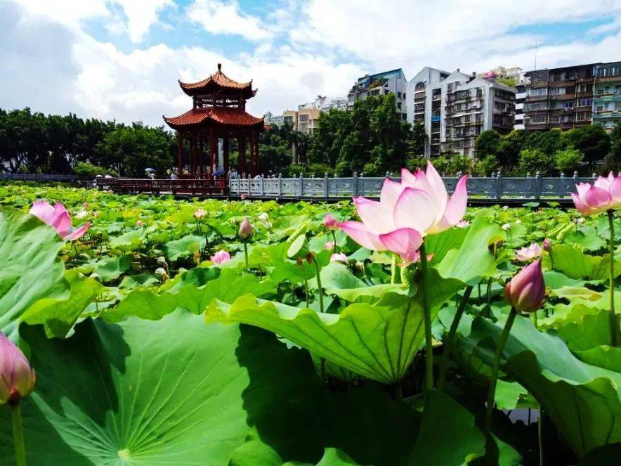 新年新气象!这里是美丽的新梧州