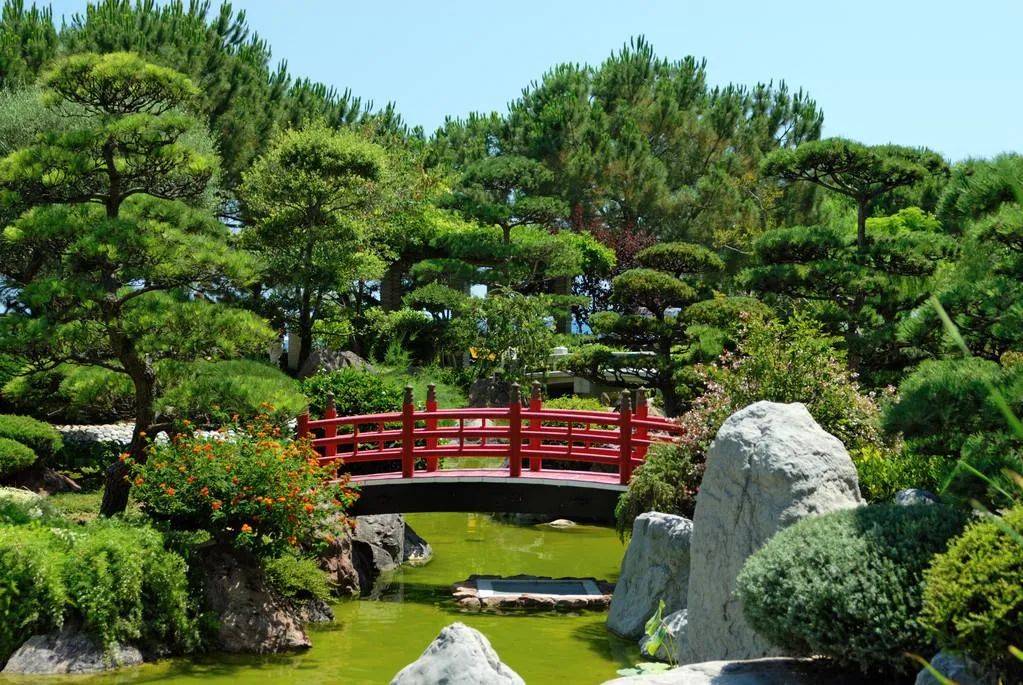 日本庭院树木的种类, 大致可以分为常绿树和落叶树两类, 而两者的合理